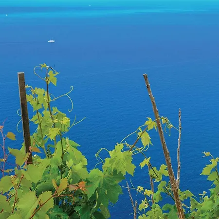 Feriehus Gorgeous In With Sauna Sreser